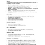 Outrageous How To Write A Lab Report Apa In Church Grade 10 Science Example